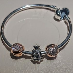 Pandora Charms!